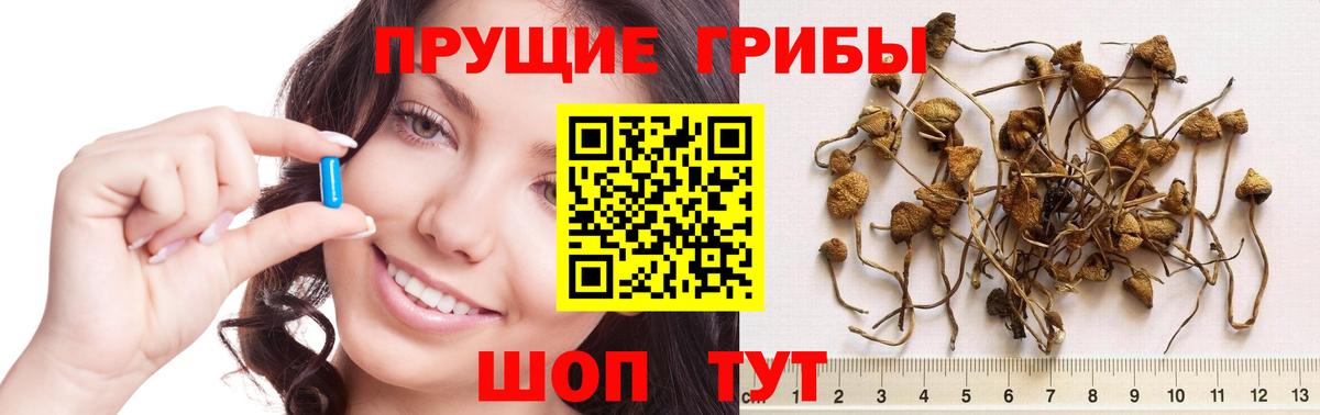 Партизанск  Псилоцибиновые грибы прущие грибы  Вход с VPN  Псилоцибиновые грибы мицелий 